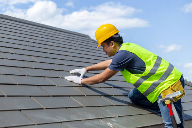 Best Residential Roof Replacement  in Mount Olive, NC