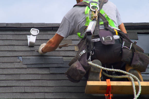 Best Shingle Roofing Installation  in Mount Olive, NC