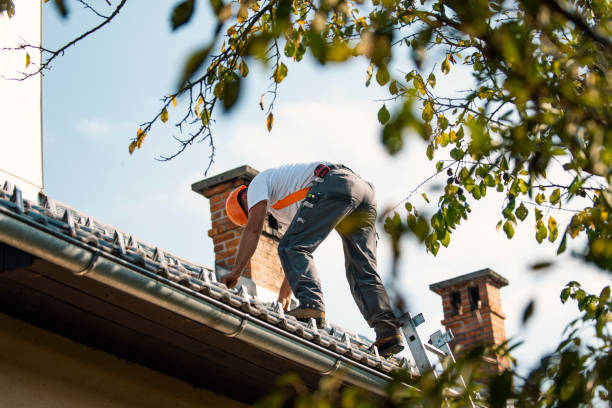 Best Commercial Roofing Services  in Mount Olive, NC