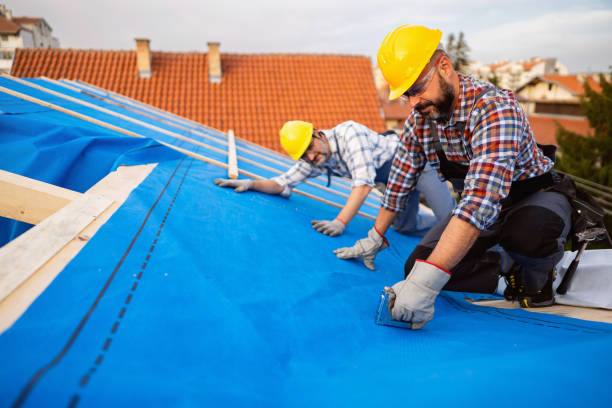 Best Metal Roofing Contractor  in Mount Olive, NC