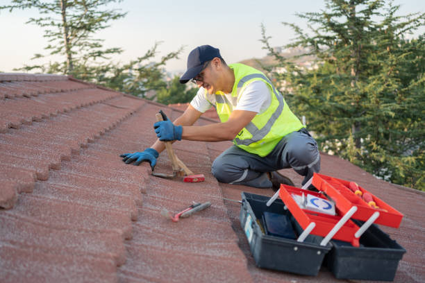 Best Residential Roof Replacement  in Mount Olive, NC