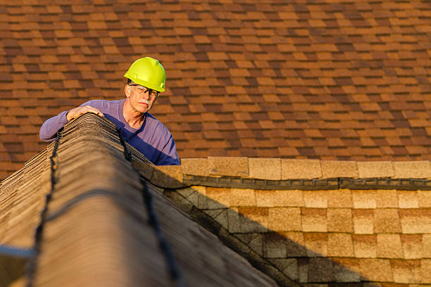 Best Shingle Roofing Installation  in Mount Olive, NC