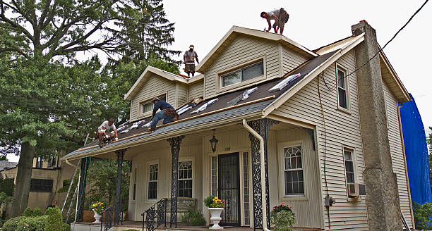 Best Roof Leak Repair  in Mount Olive, NC