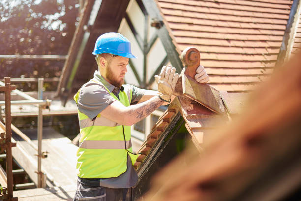 Best Local Roofing Companies  in Mount Olive, NC