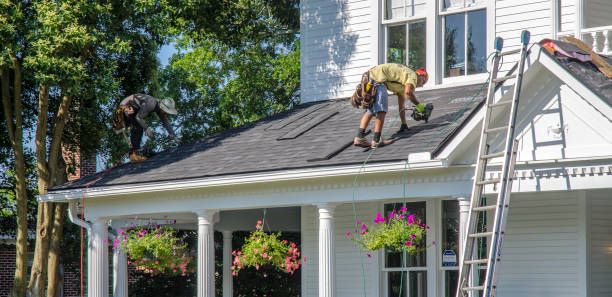 Best Roof Gutter Cleaning  in Mount Olive, NC