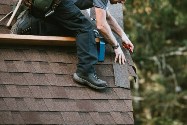 Best New Roof Installation  in Mount Olive, NC